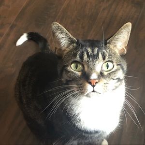 Meet your Posher, Jen